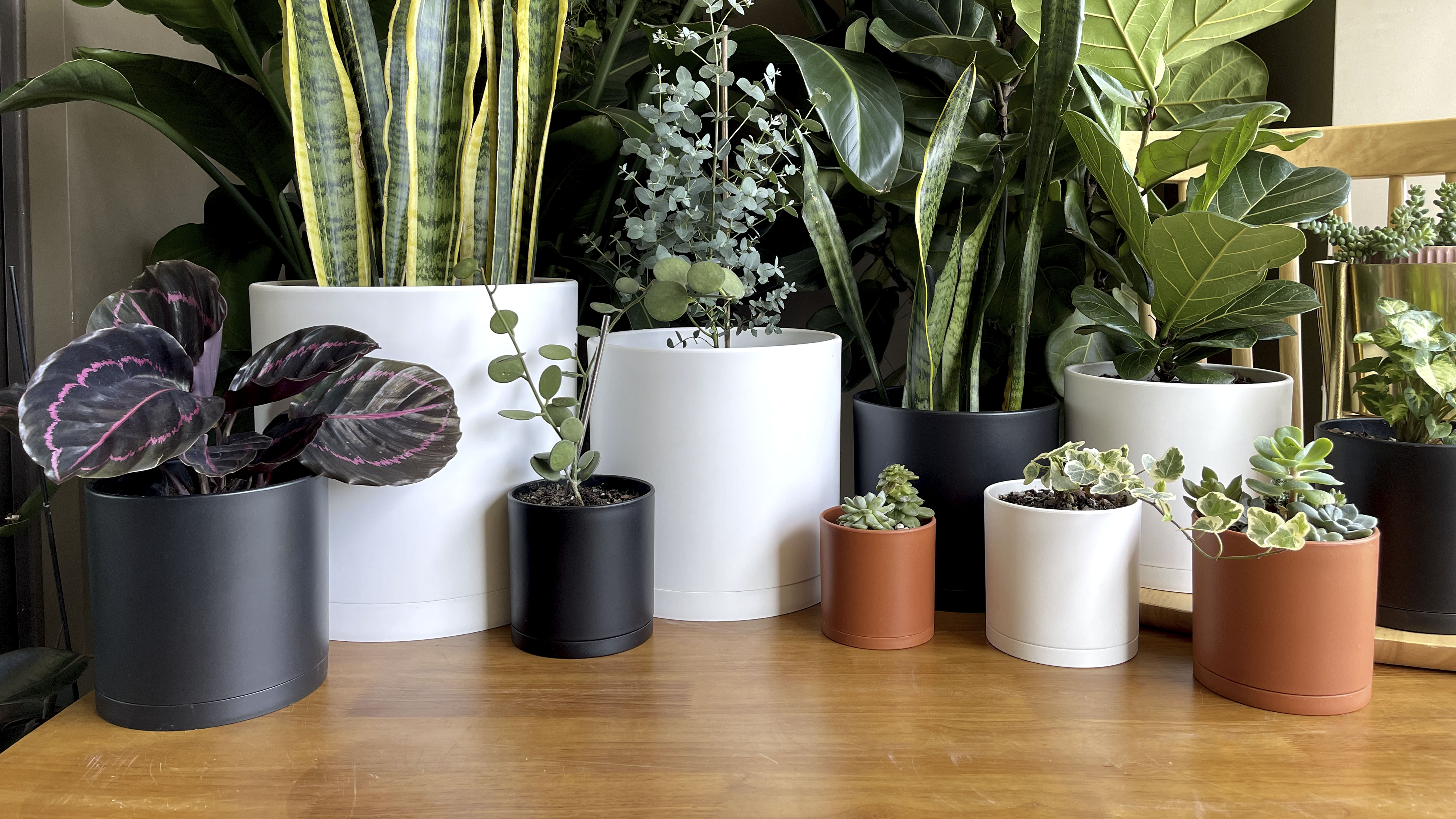 Amazon.com : D'vine Dev 14 Inch White Plastic Planter Pots for