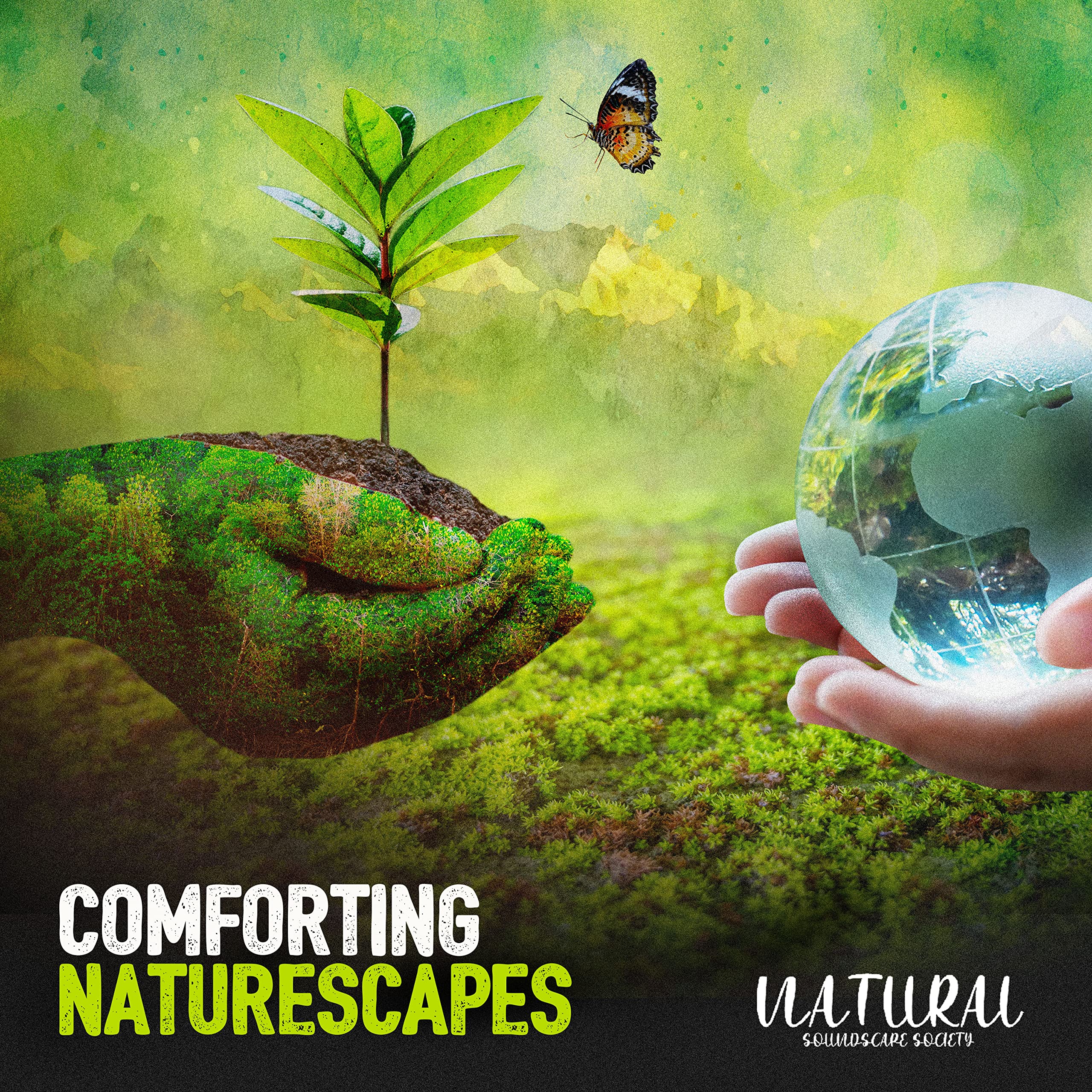 Natural Soundscape Society