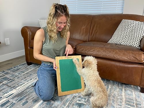 Best Dog Nail Scratchers in 2026: Stress-Free Trimming at Home