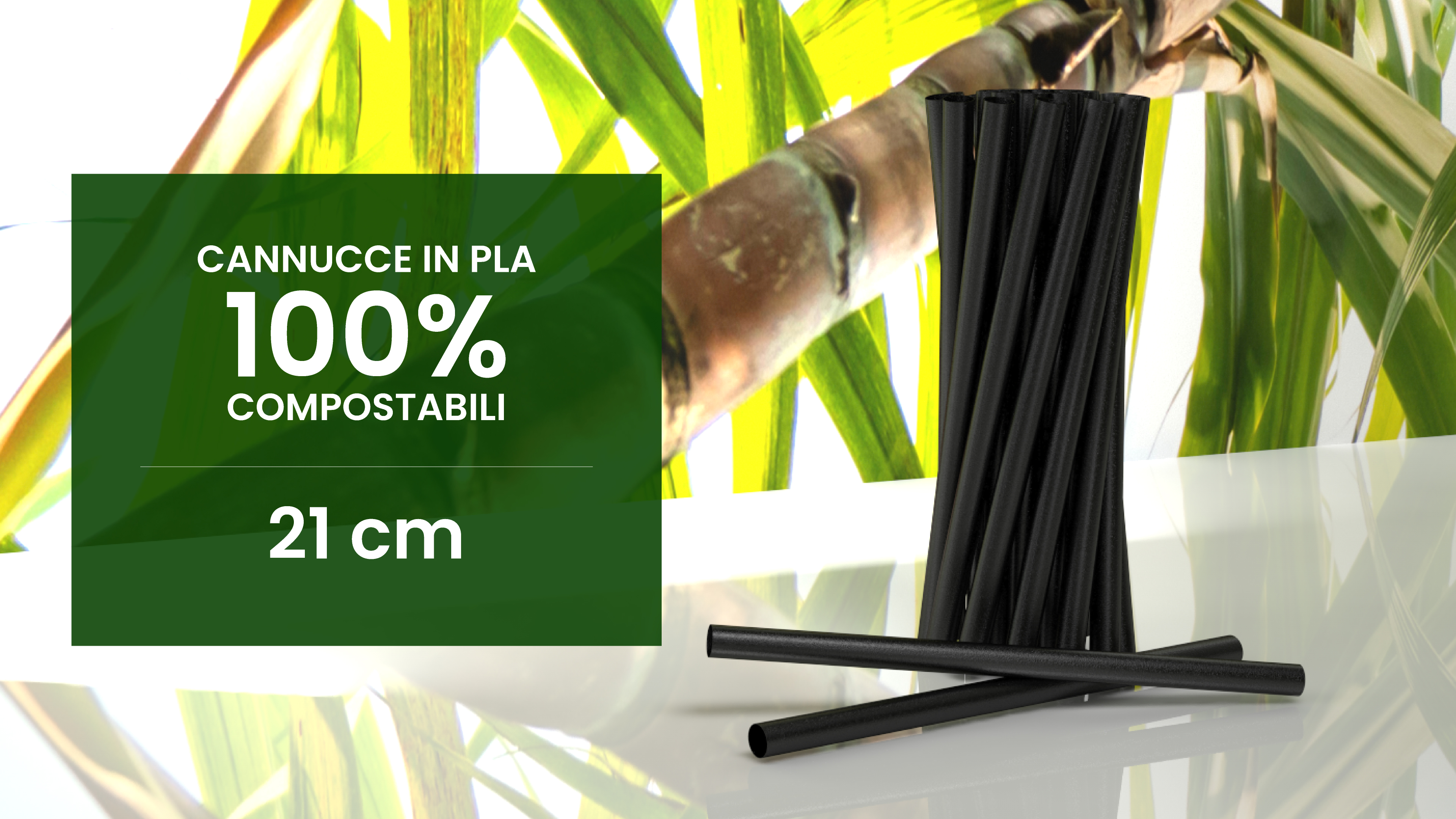 We Can Source It – Cannucce Di Carta Nere 200mm (250 Pz) – Biodegradabili, Compostabili, Ecologiche Per Cocktail E Feste