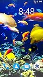 Zoom IMG-2 ocean fish hd wallpapers