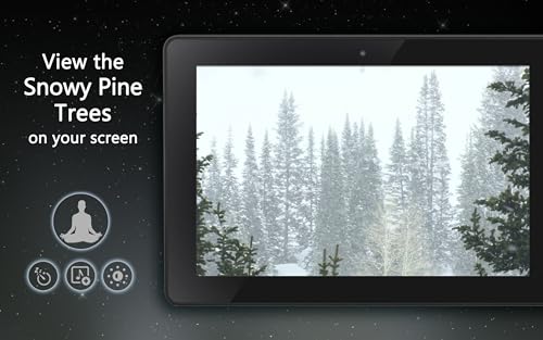 Snowy Pine Trees