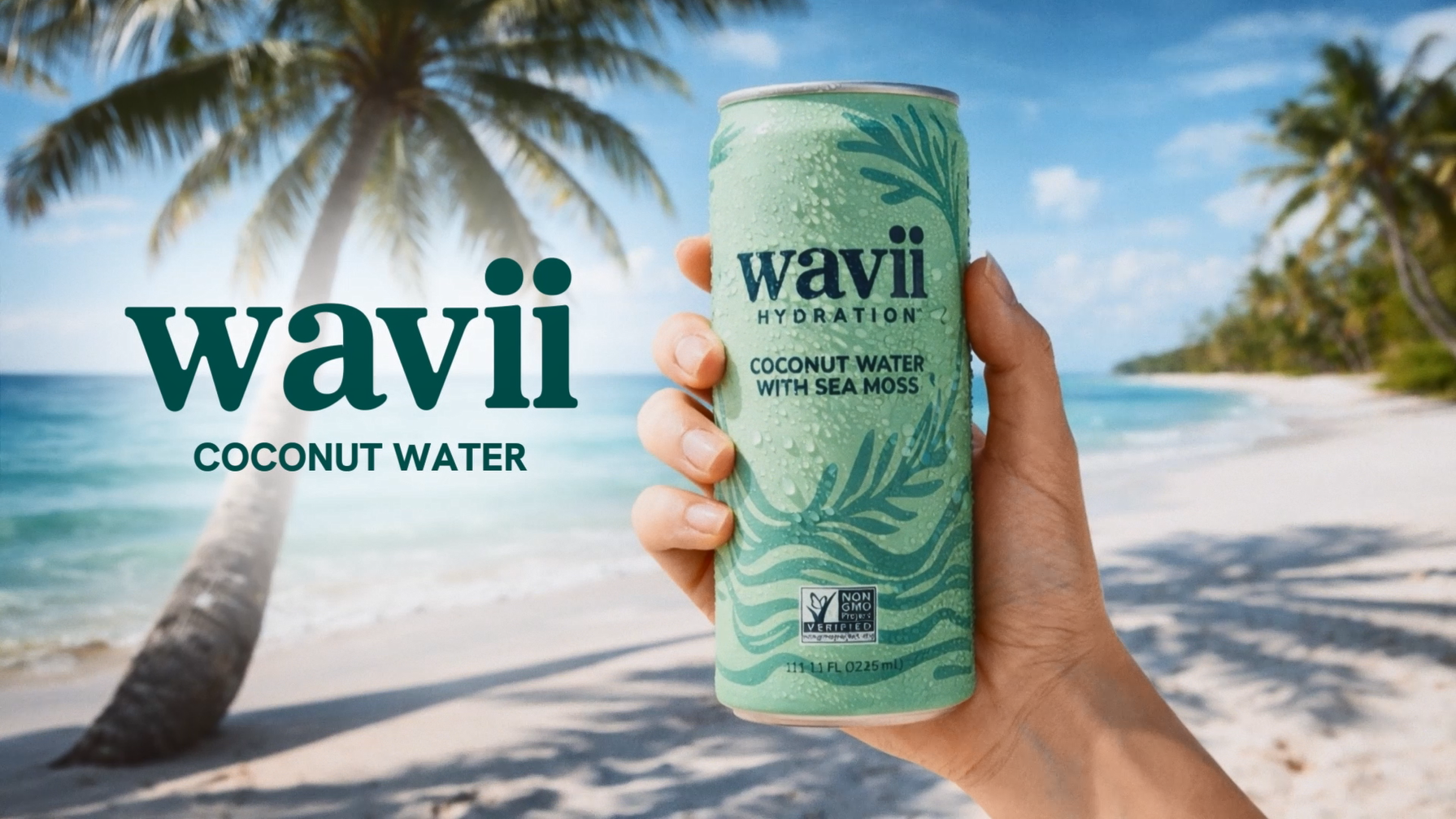 Amazon.com : Wavii Coconut Water with Sea Moss plus Watermelon, 12