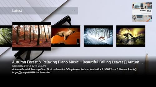 Instrumental Music for Studying