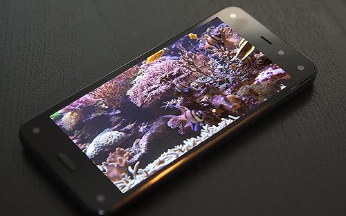 free deep fish tank HD - decore seu quarto com um lindo aquário ao vivo em sua TV HDR 4K, TV 8K e di