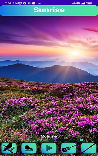 Meditation and Relaxation