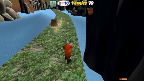 Noah's Veggie Run