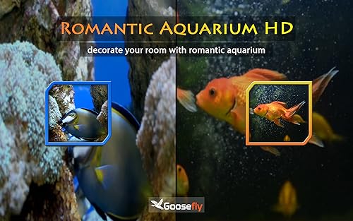 aquário romântico grátis HD - decore seu quarto com um lindo aquário em sua TV HDR 4K, TV 8K e dispo