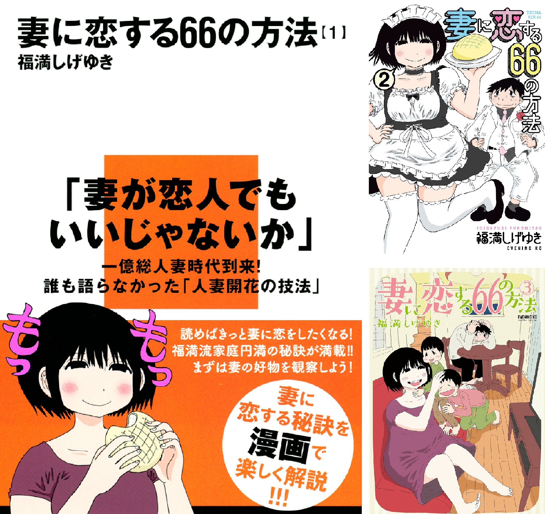 妻に恋する66の方法