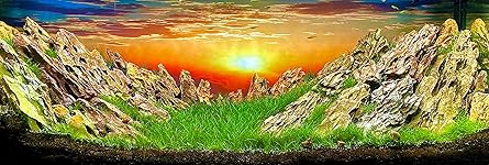 Review Image by Michael Michael