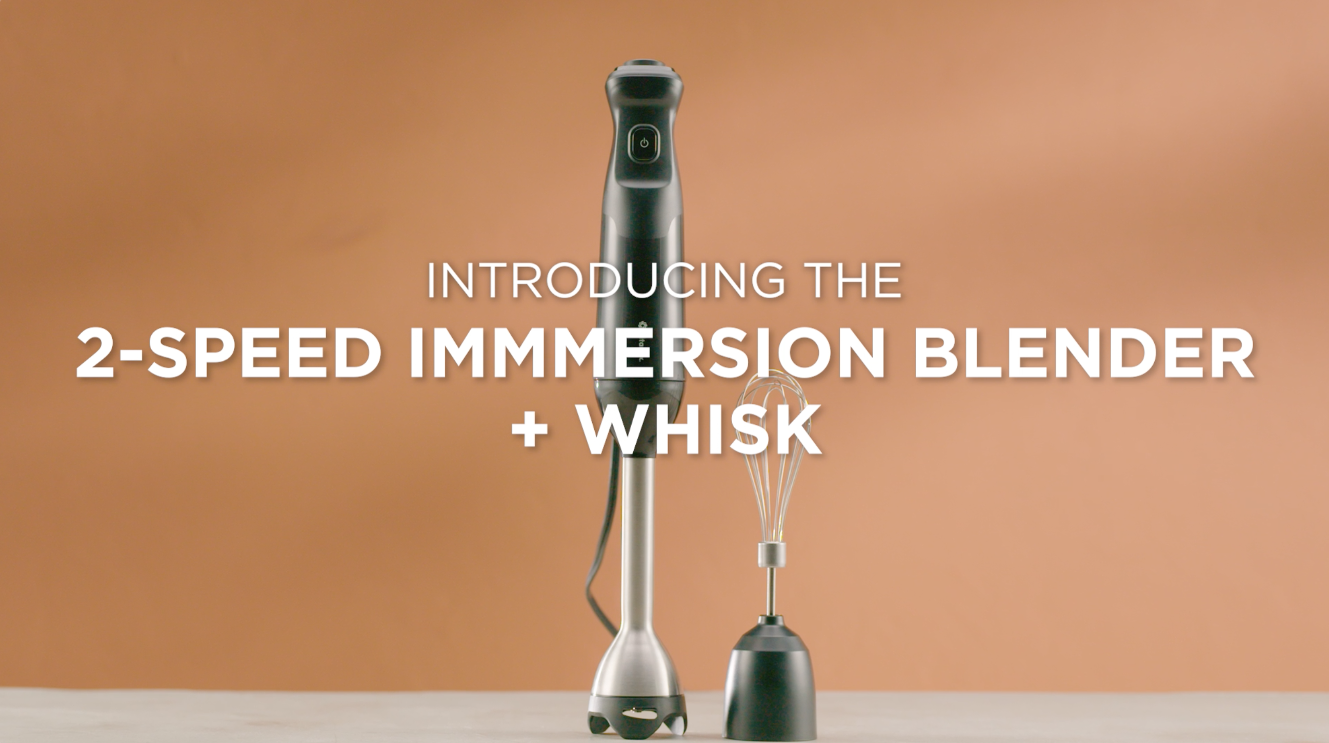 Amazon.com: Vitamix 2-Speed Immersion Blender + Whisk Attachment