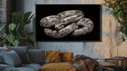 Musique d'ambiance relaxante - Gros plan sur un serpent mystérieux – vue 7