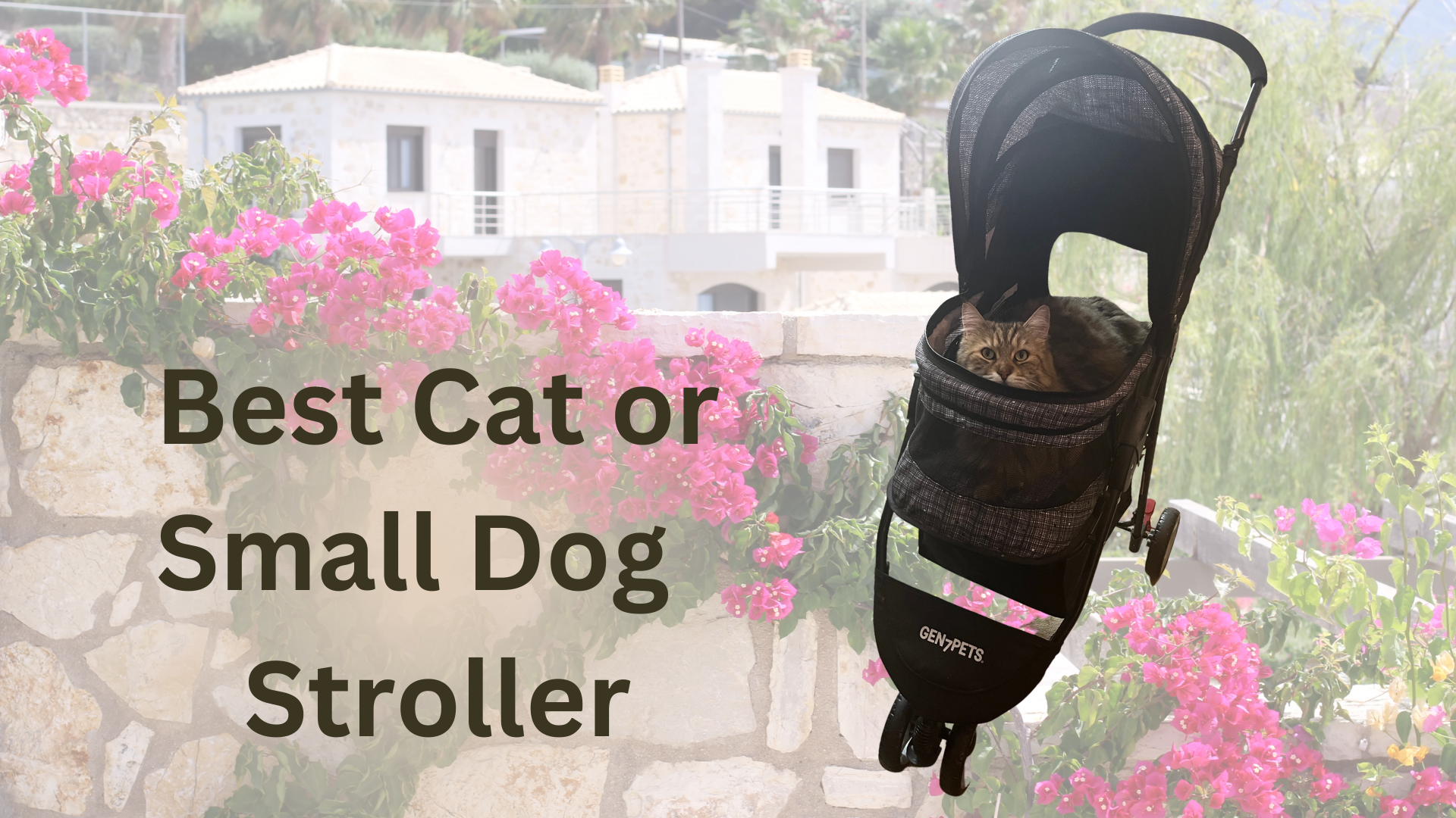 Watch Gen7 Pet Stroller For Outdoor Adventures with Your Pets on
