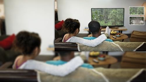 selva chuvosa molhada grátis - tema chuvoso de paz completo para o Natal na sua TV HDR 8k 4k e dispo
