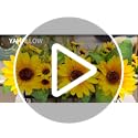 Sunflower Artificial Flowers, Fake Sunflower Table Centerpiece Decor, Artificial Fall Flowers Arrangement Farmhouse Decoration for Home Bathroom Kitchen - Image 3