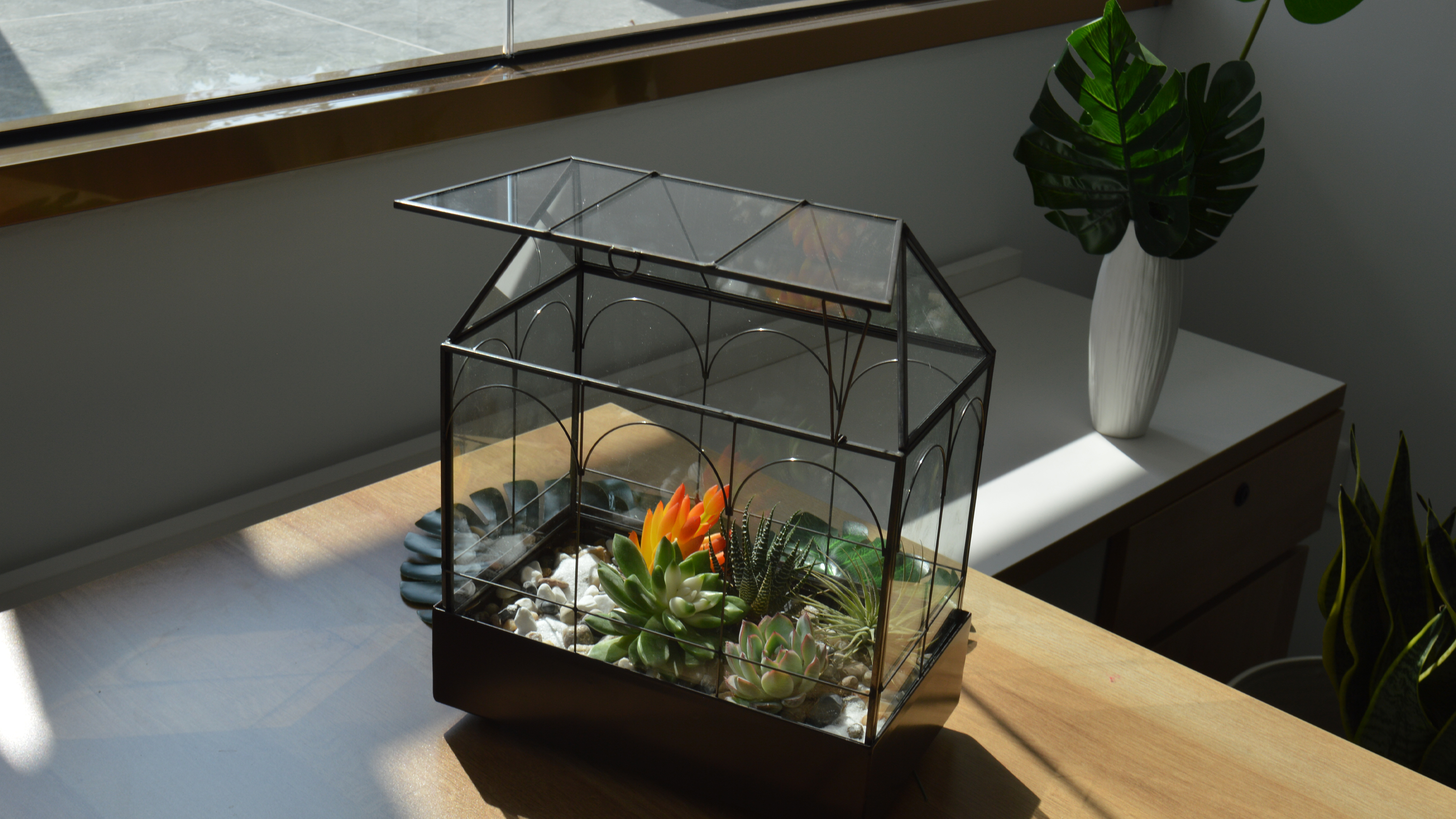 Amazon.com: Large Tall Glass Plant Terrarium  House Succulent Terrarium  Kit with Lip and Tray Glass Greenhouse Terrarium for Plant 9.5X5.7X11.4  : Patio, Lawn & Garden