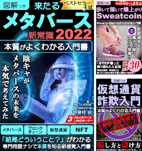 【甲斐柱】メタバース