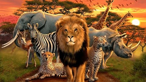 African Animals 4K Screensaver Wildlife and Animals with Relaxing Sounds 4K Screensaver for Amazon F