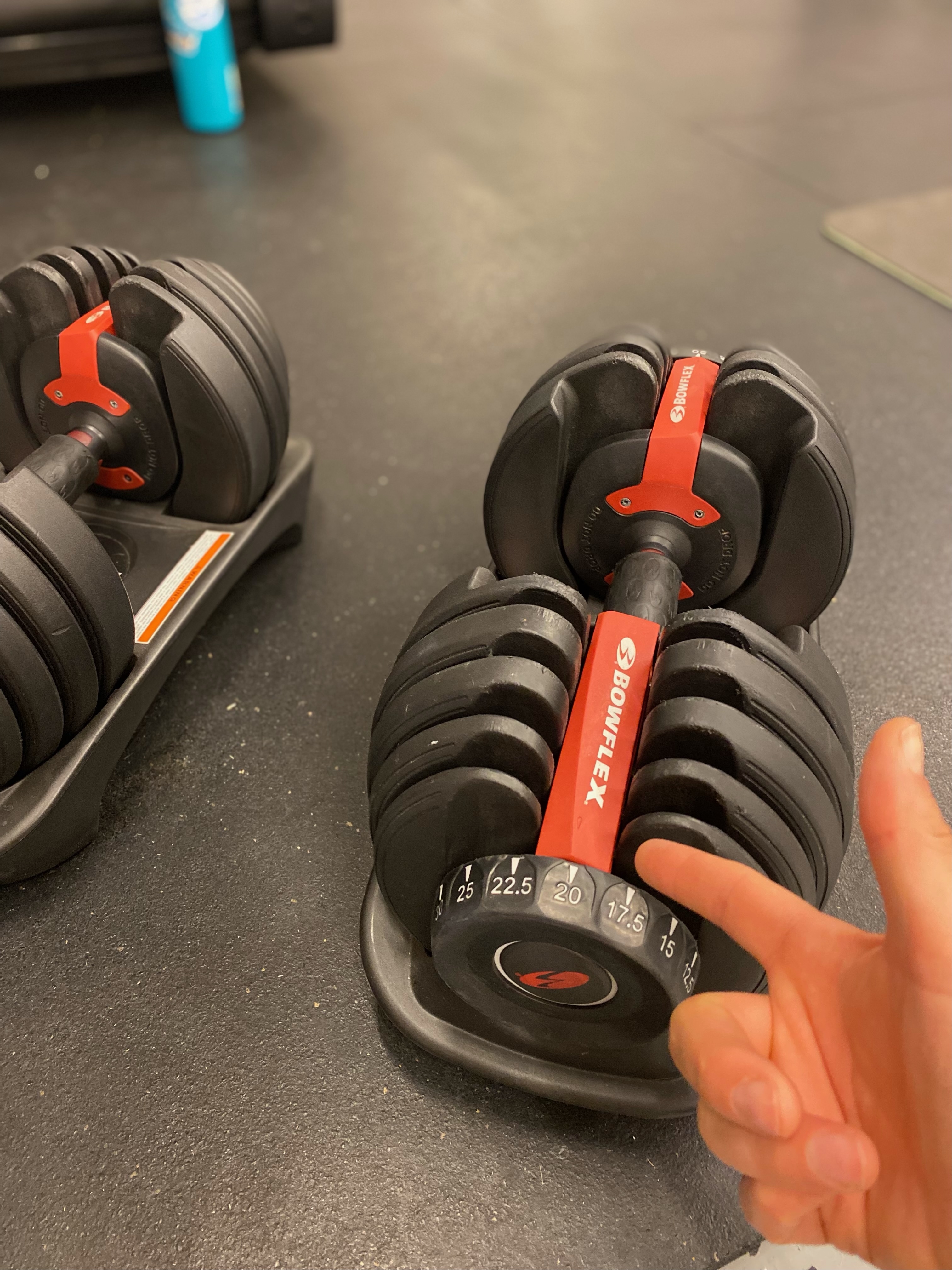 Bowflex 552 Bowflex Dumbbell And Bench Set BowFlex