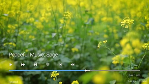 Relaxing Music