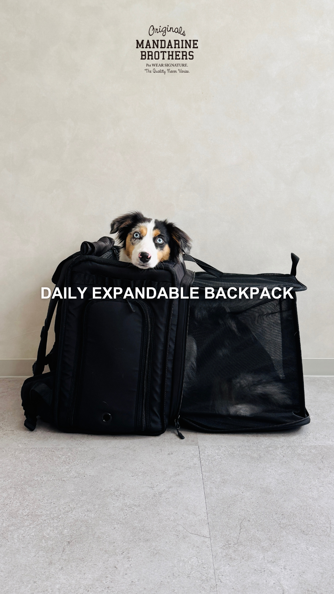 Amazon.co.jp: MANDARINE BROTHERS マンダリンブラザーズ DAILY