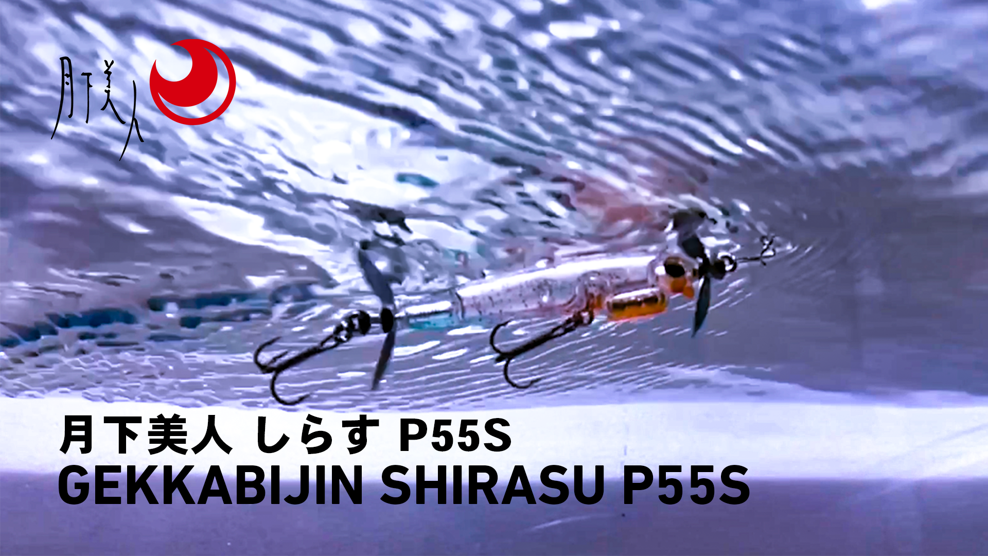 Amazon | ダイワ(DAIWA) 月下美人 しらすP 55S アミちらし 55 | ダイワ