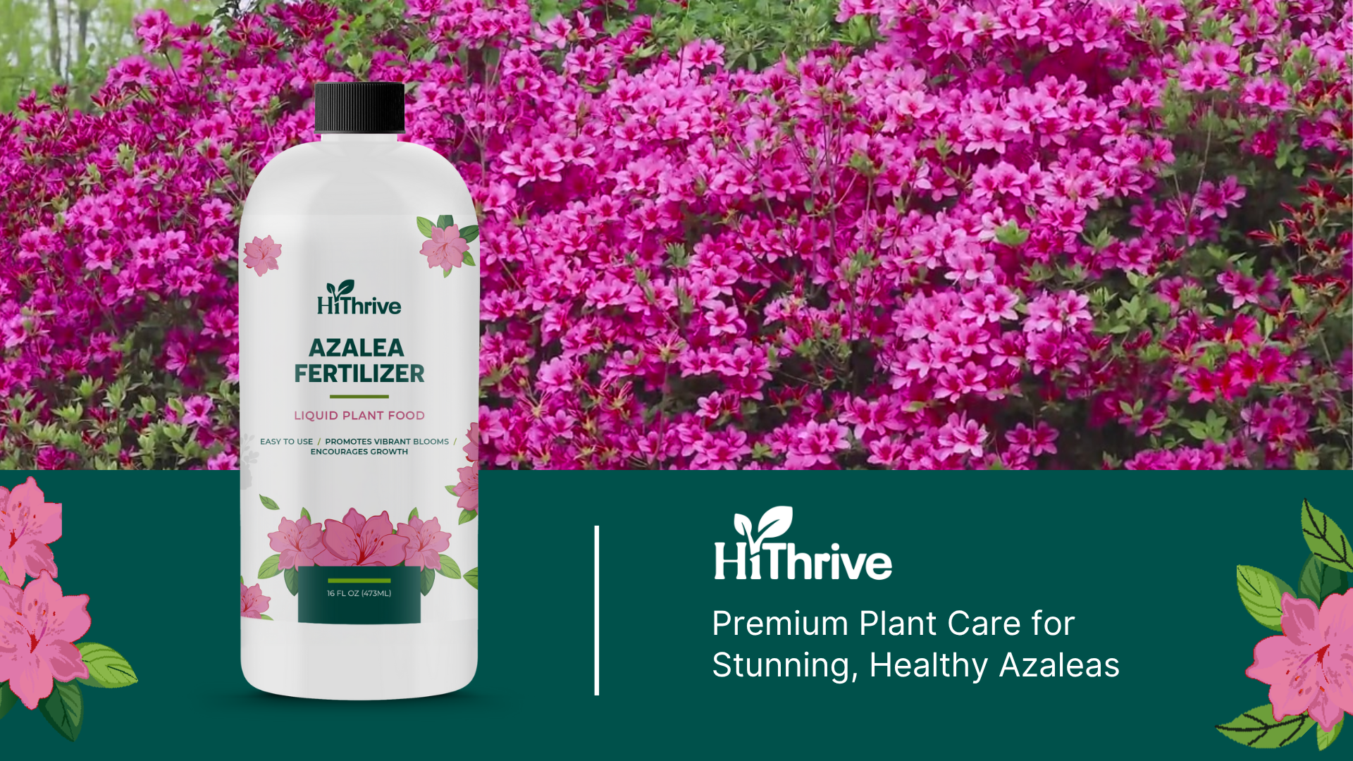 Amazon.com : 16oz Azalea Fertilizer Outdoor - Makes 16 Gallons of