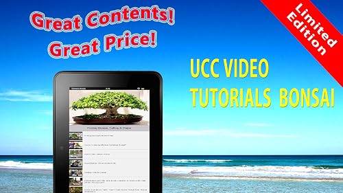 Easy Bonsai Tree For Beginners - Best How To Grow Bonzai Plants Tips & Care Instruction Ucc Videos, Start Today! #TOP6