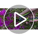 6.5" Straight Pruning Shears for Gardening, Sharp Plant Trimming Scissors for Precise Cuts, Stainless Steel Garden Scissors Bonsai Clippers (1-Pack)