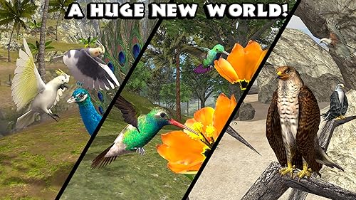 Ultimate Bird Simulator