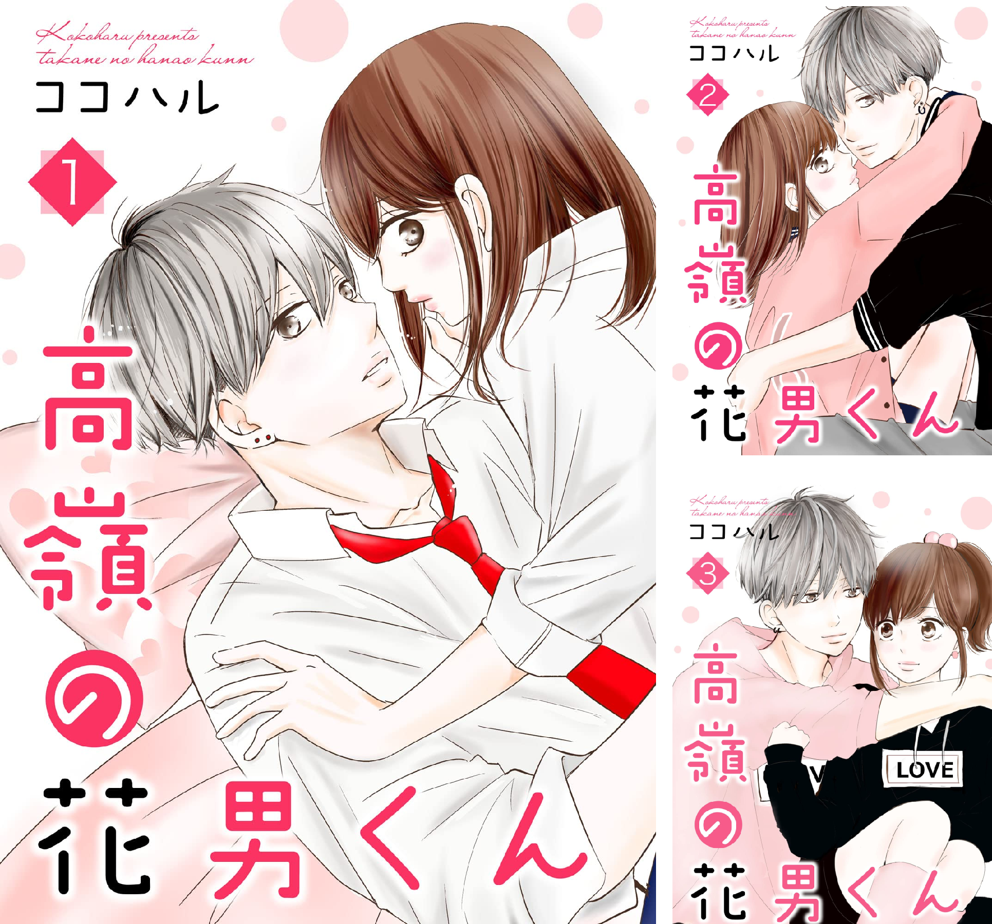 高嶺の花男くん 【合冊版】 (全17巻) Kindle版