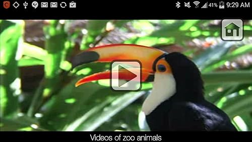 Free 100 Zoo Animals