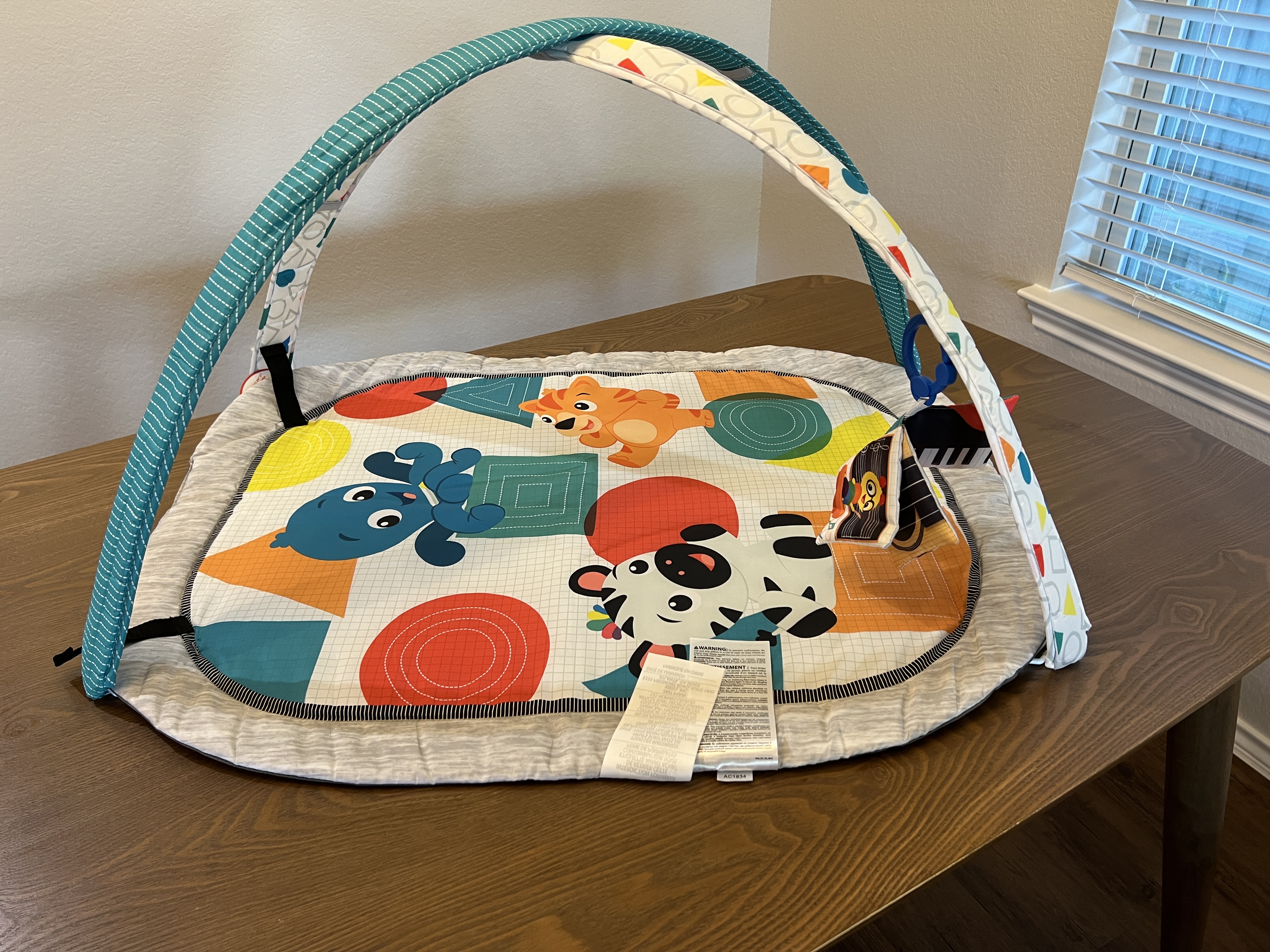 Watch Assembling Baby Einstein play mat on Amazon Live