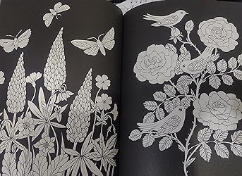 Nightfall Coloring Book: Originally Published in Sweden as ...