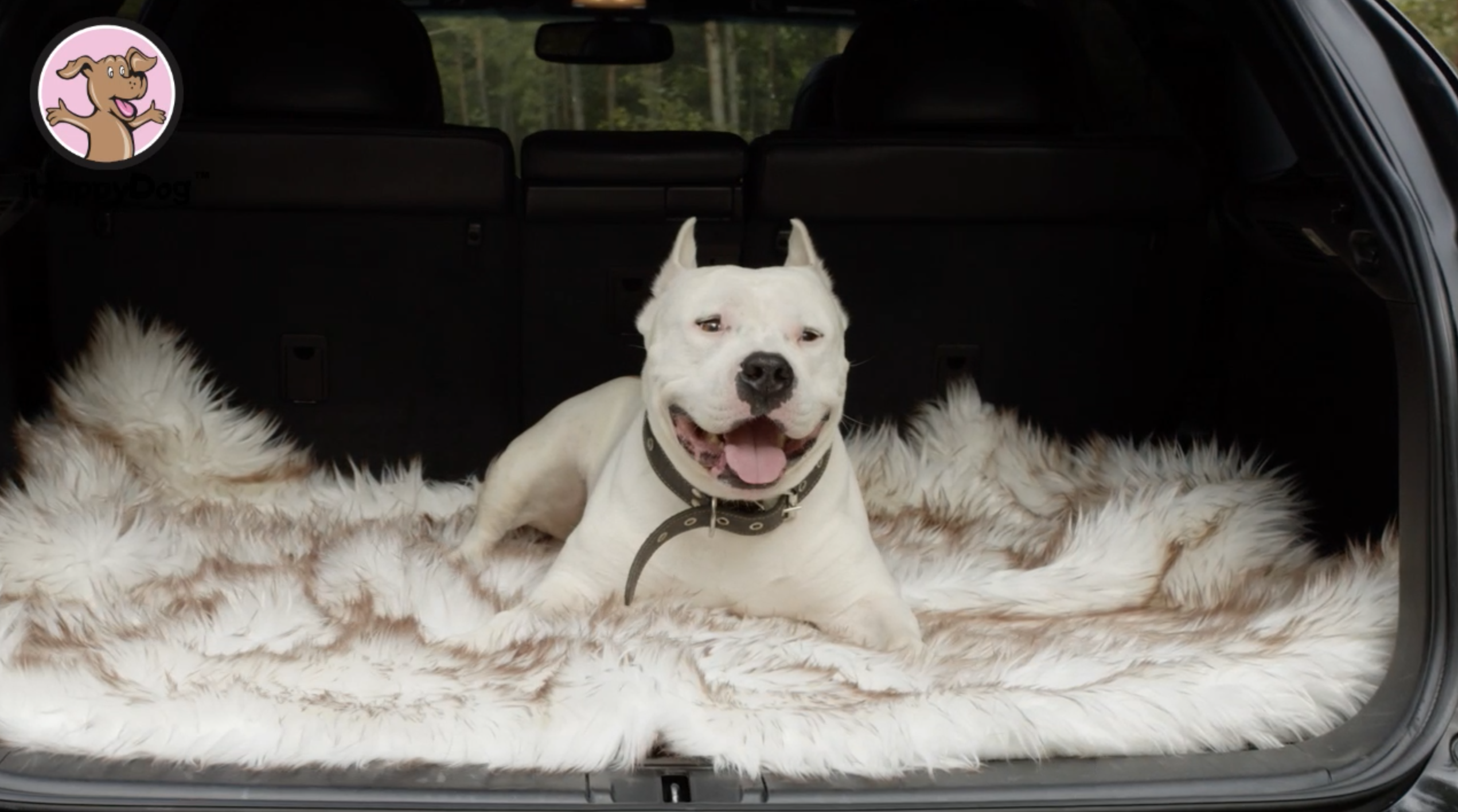 Waterproof Dog Blanket, Plush Throw for Sleeping, Whelping, and Comfort, Pet Fur, Bed, Car, Couch, and Furniture… - Image 7