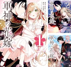 影の英雄の治癒係 (全4巻) Kindle版