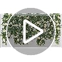 TOCHGREEN 2 Pack 13Ft Artificial Eucalyptus Flower Garland with White Roses, Fake Rose Flower Greenery Garland Floral Vines for Wedding Home Party Table Runner Decor (2PCS, White) - Image 8