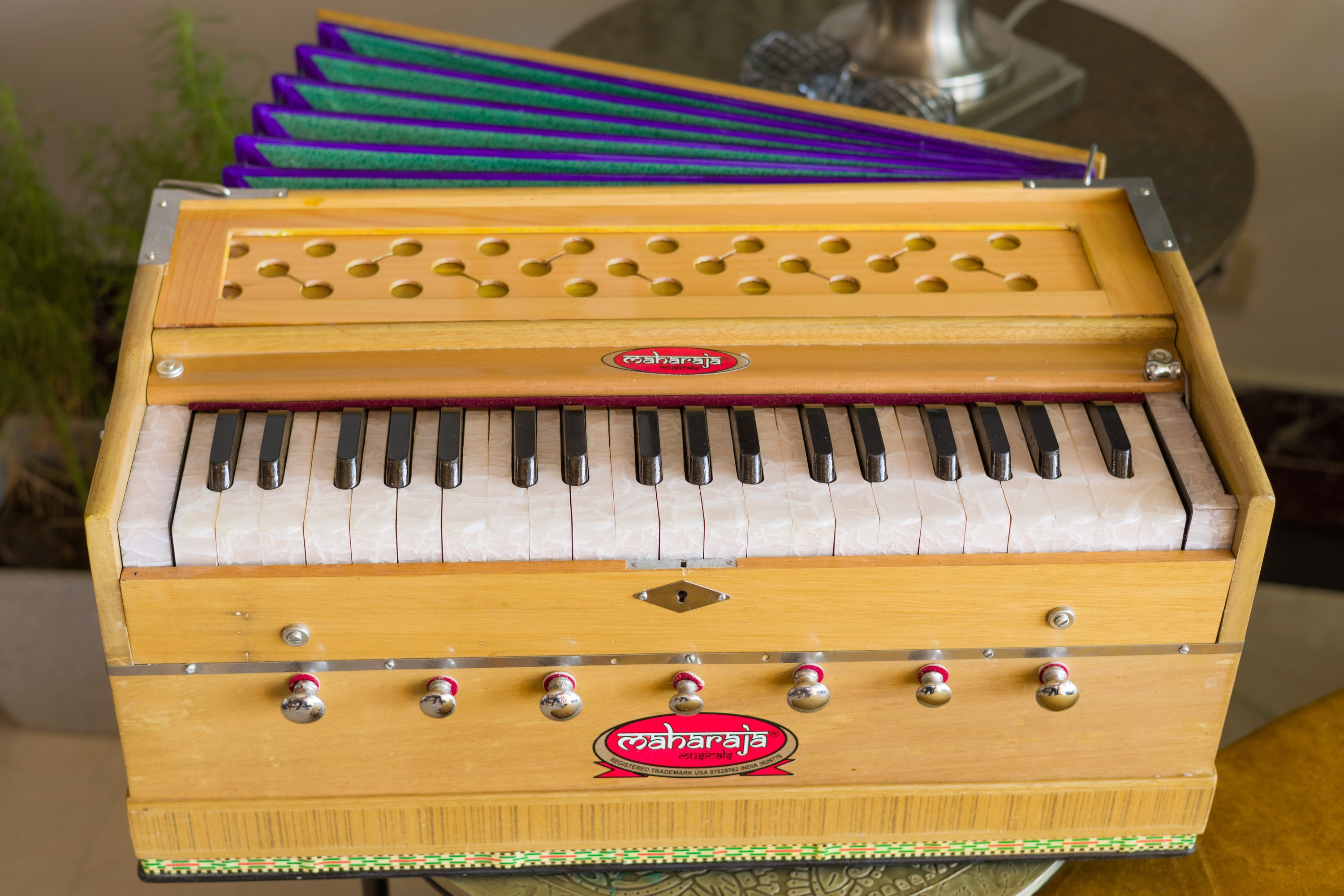 Amazon.com: Harmonium, Maharaja Musicals, In USA, 3 1/4 Octave
