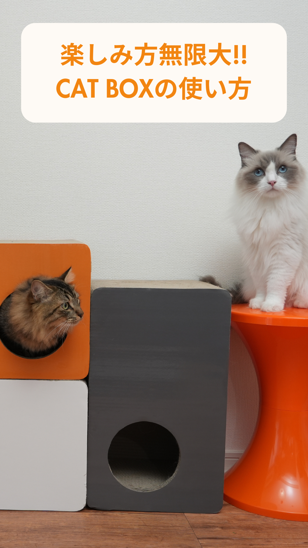 Amazon | 【猫が恋する爪研ぎボックス】COTCAT (コットキャット