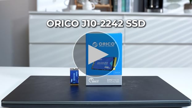 新品SSD2枚 ORICO J-10 1TB NVMe PCIe 3.0 SSD Sac4e870de9804e0c8bfcc6f87406e