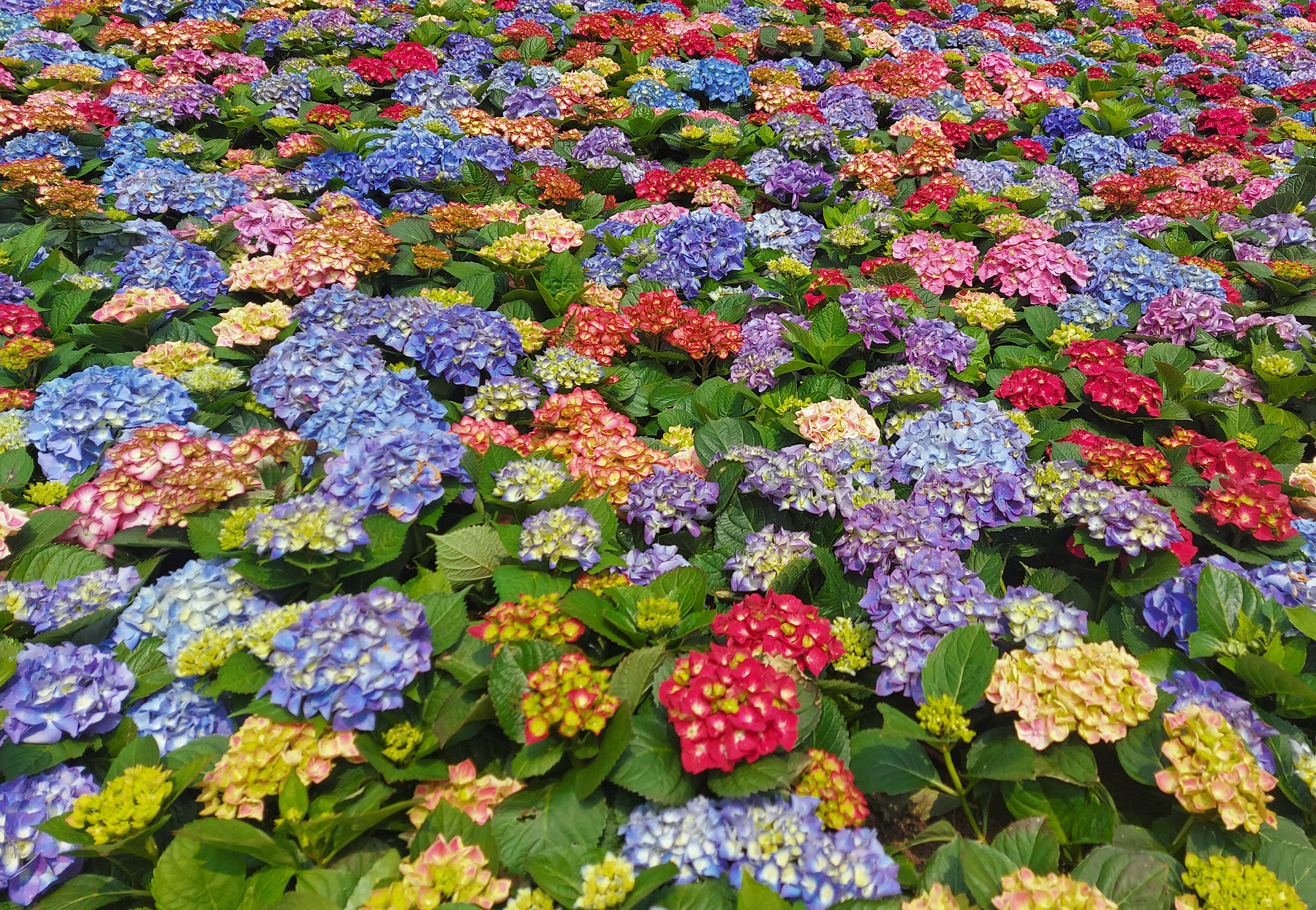 Set de herramientas de jardín Natury acero inoxidable miniatura 7