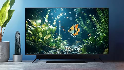 Aquarium Ambience – vue 5