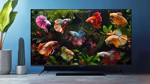 Aquarium Ambience – vue 2