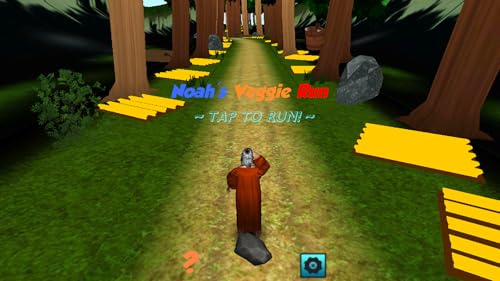 Noah's Veggie Run