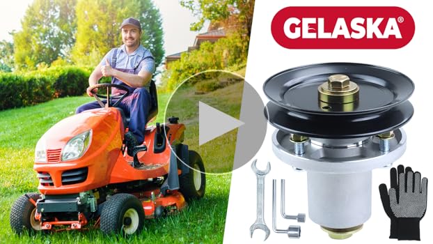 Yourelia　④ Our ZX4RR 40th | Kawasaki ZX-4R Forum