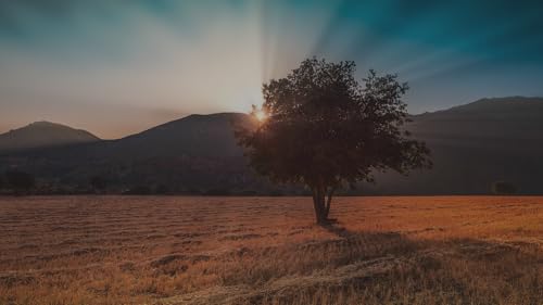 Word of Promise® App