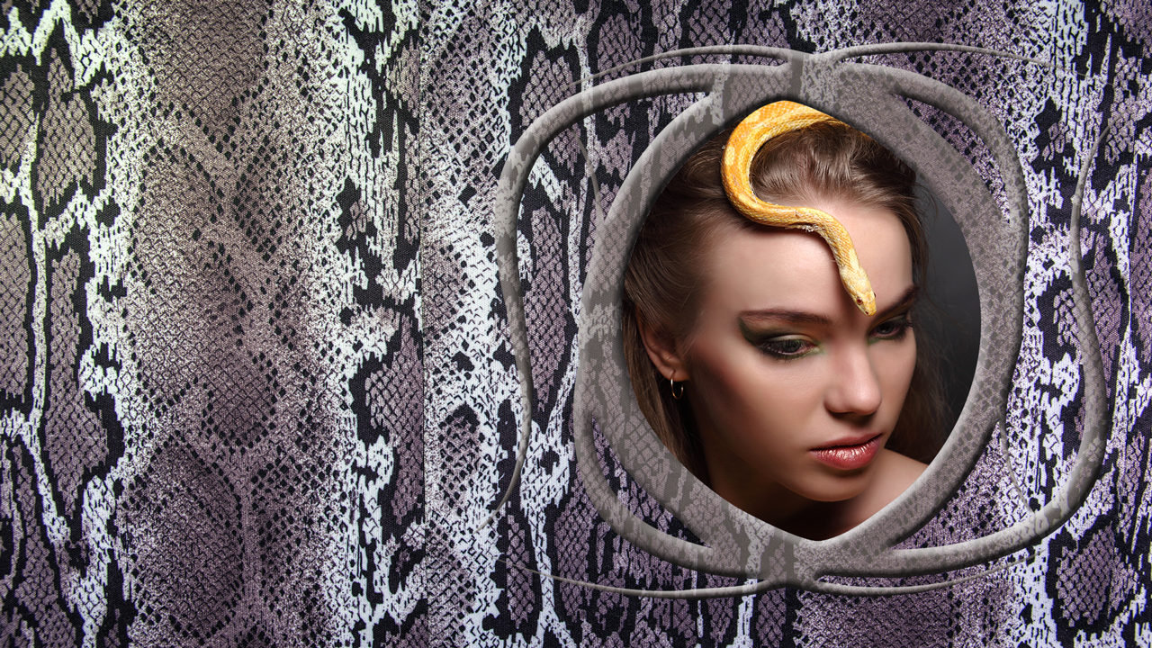 Snake Skin Photo Frames - App on Amazon Appstore