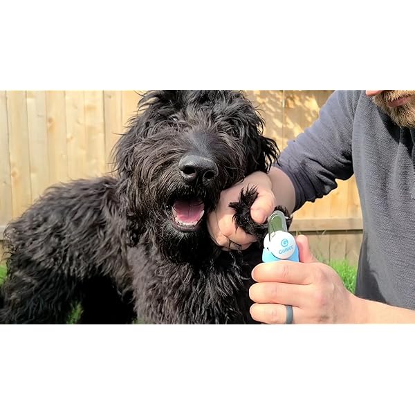 gonicc Dog & Cat Pets Nail Clippers and Trimmers with Safety Guard to