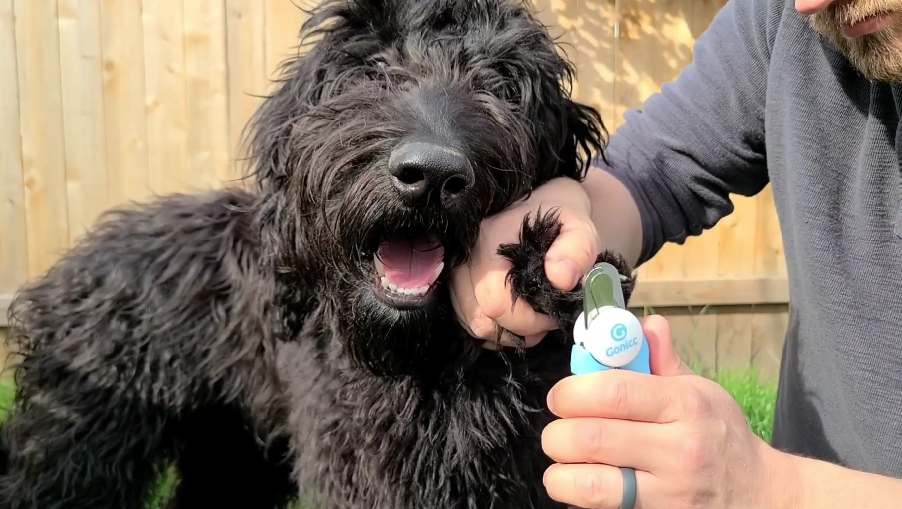 gonicc Professional Small Dog and Cat Nail Clippers Sharp Stainless Steel Pet Nail Trimmers(with Free Nail File in Handle), for Rabbit, Small Animal, with Safety Guard to Avoid Overcutting - image 7