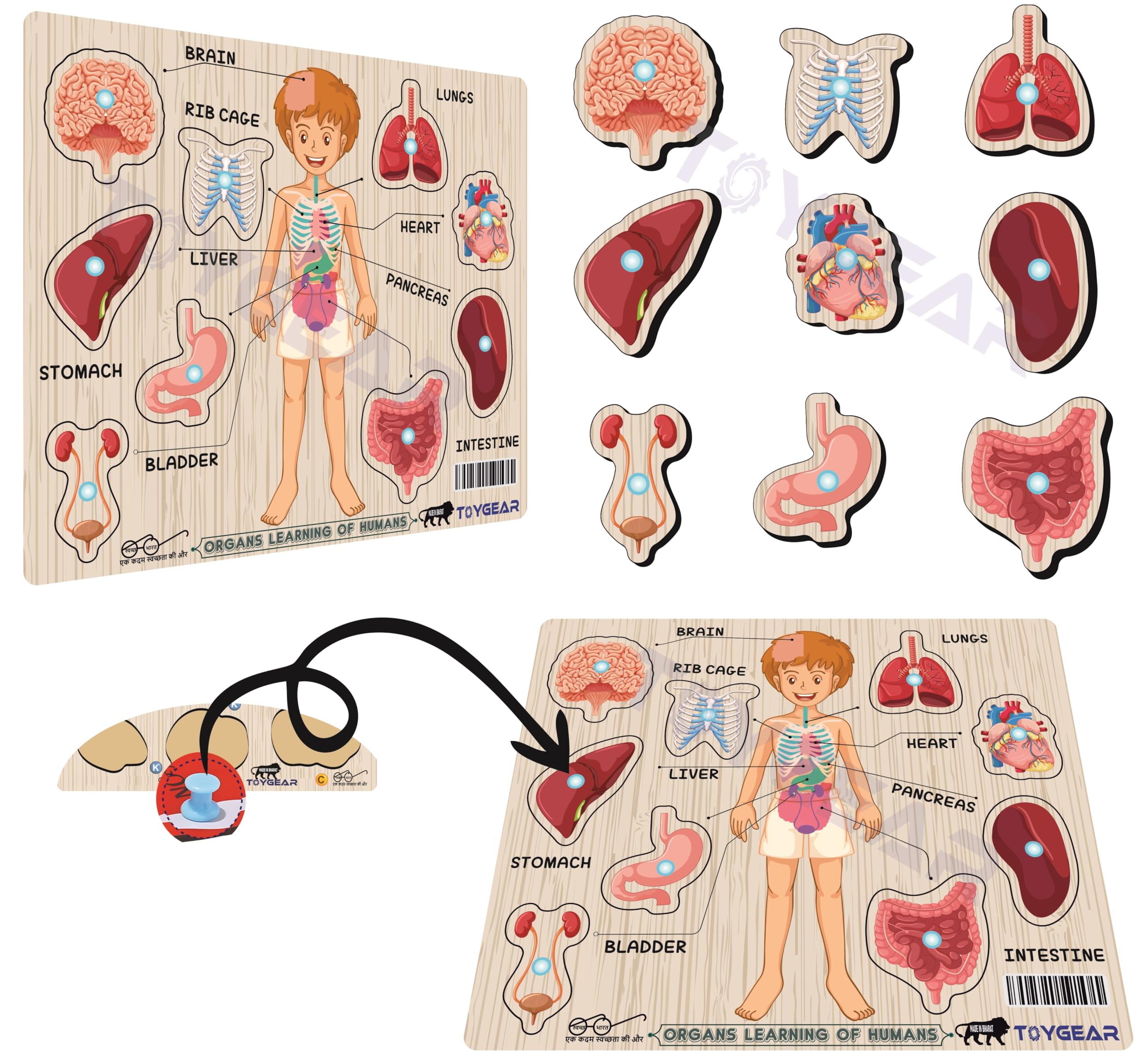 Wooden Human Body Parts Peg Puzzle for Kids | Montessori Educational Toy with Eye, Ear, Nose, Hand, Foot & More | Preschool Learning Puzzle for Toddlers Age 2+-picture-15